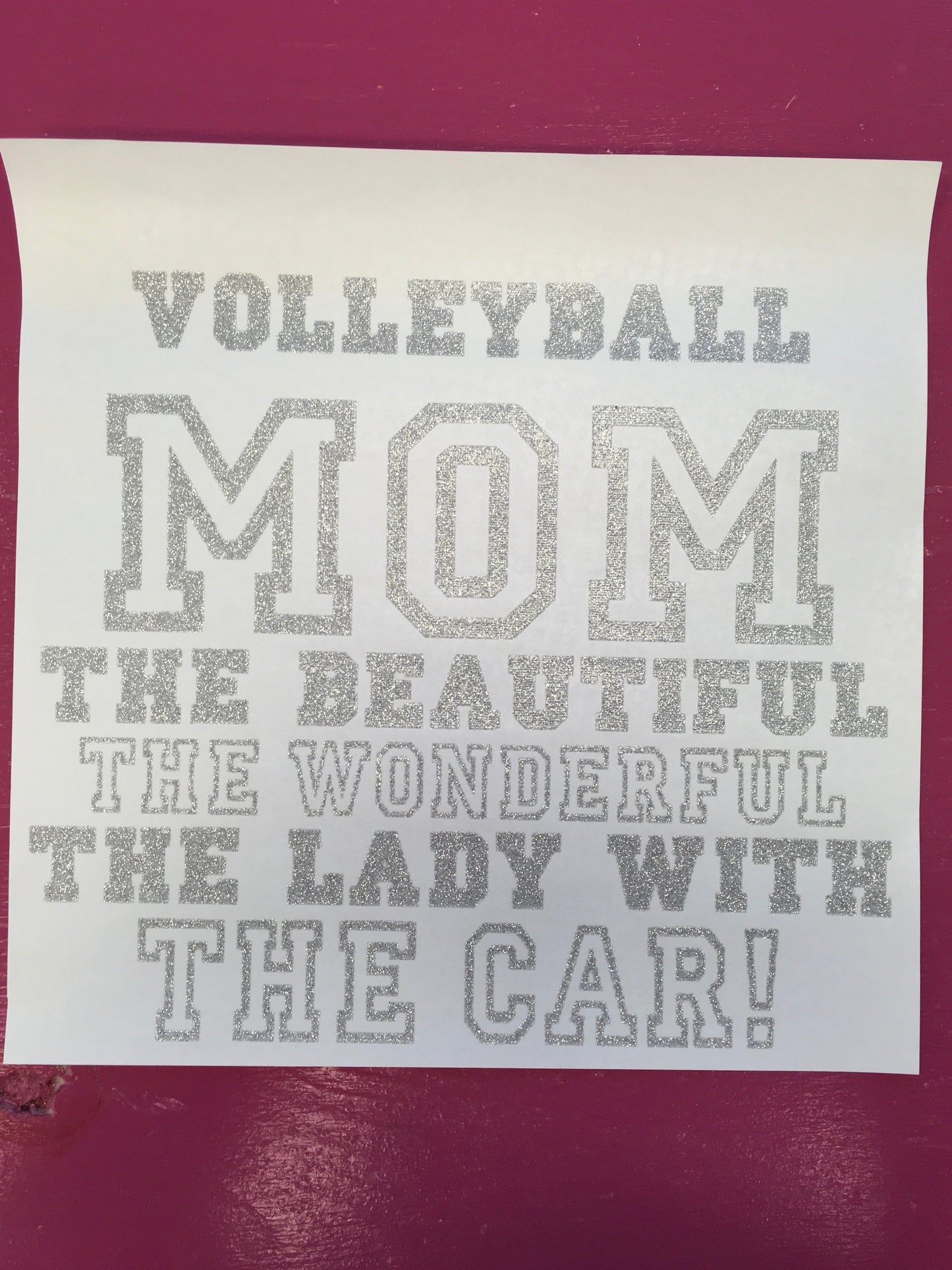 Volleyball Transfers