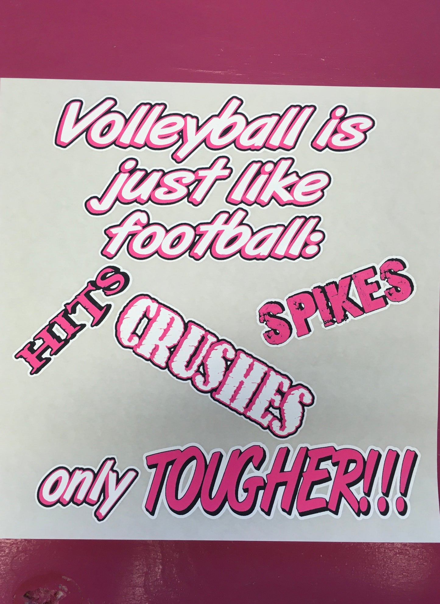 Volleyball Transfers