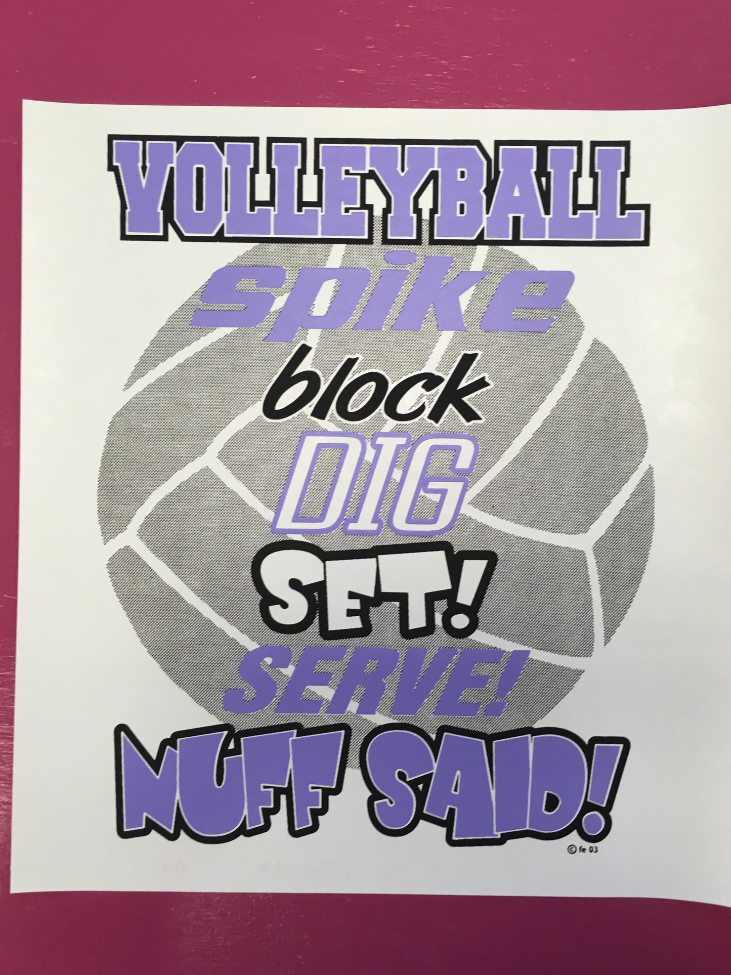 Volleyball Transfers