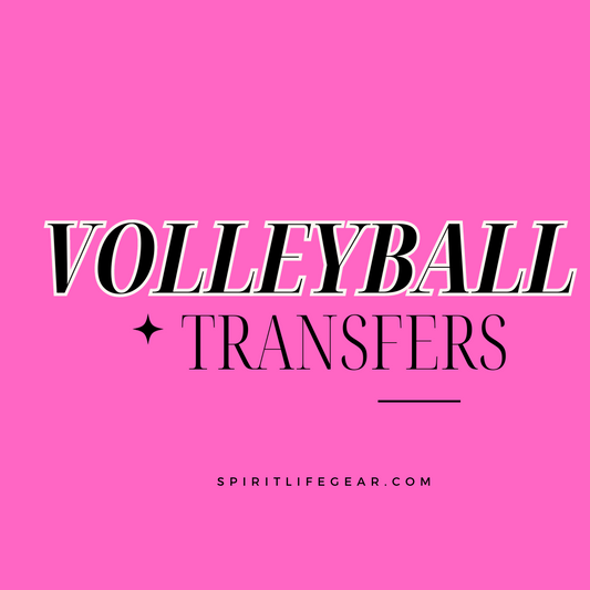 Volleyball Transfers